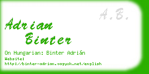 adrian binter business card