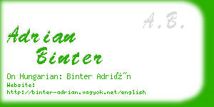 adrian binter business card